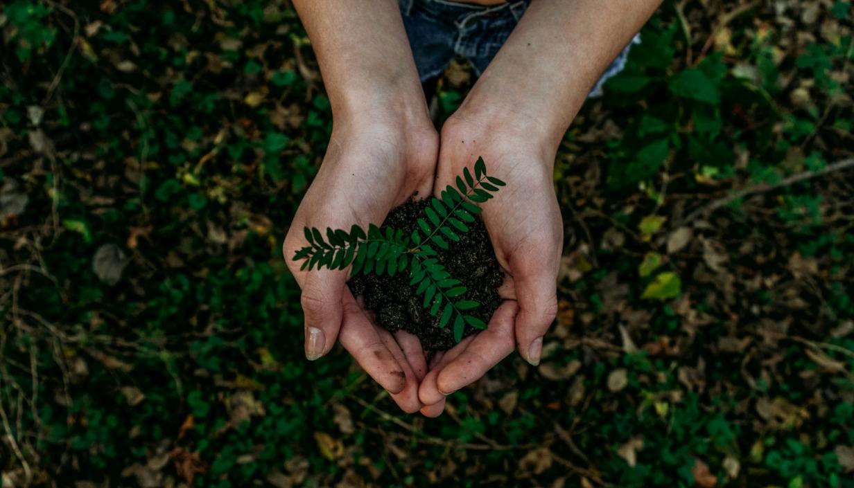 Sustainable Image